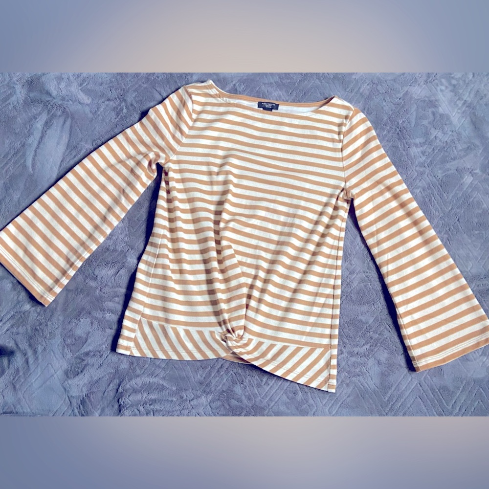 Ann Taylor Petite Knits Top  Long Sleeve Horizontal Brown and Beige Stripes